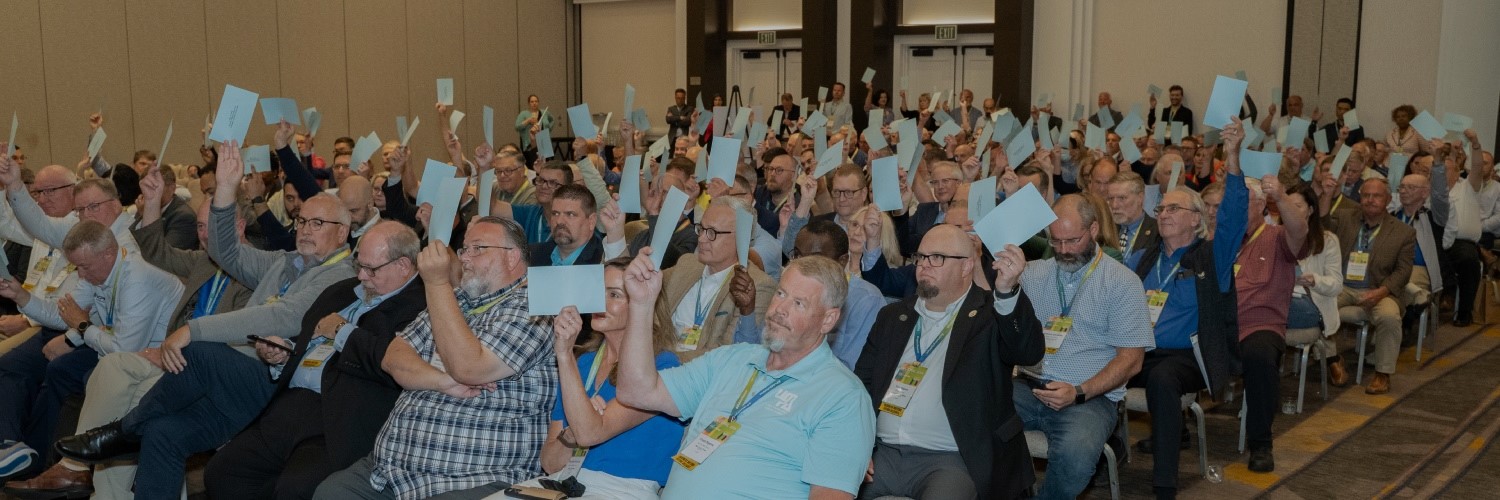 Members voting at APPA's 2024 annual business meeting