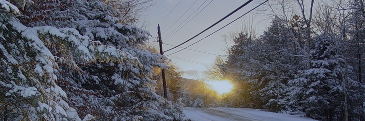 Snowy winter scene with a rural road lined by trees with power lines overhead (screened for home page)