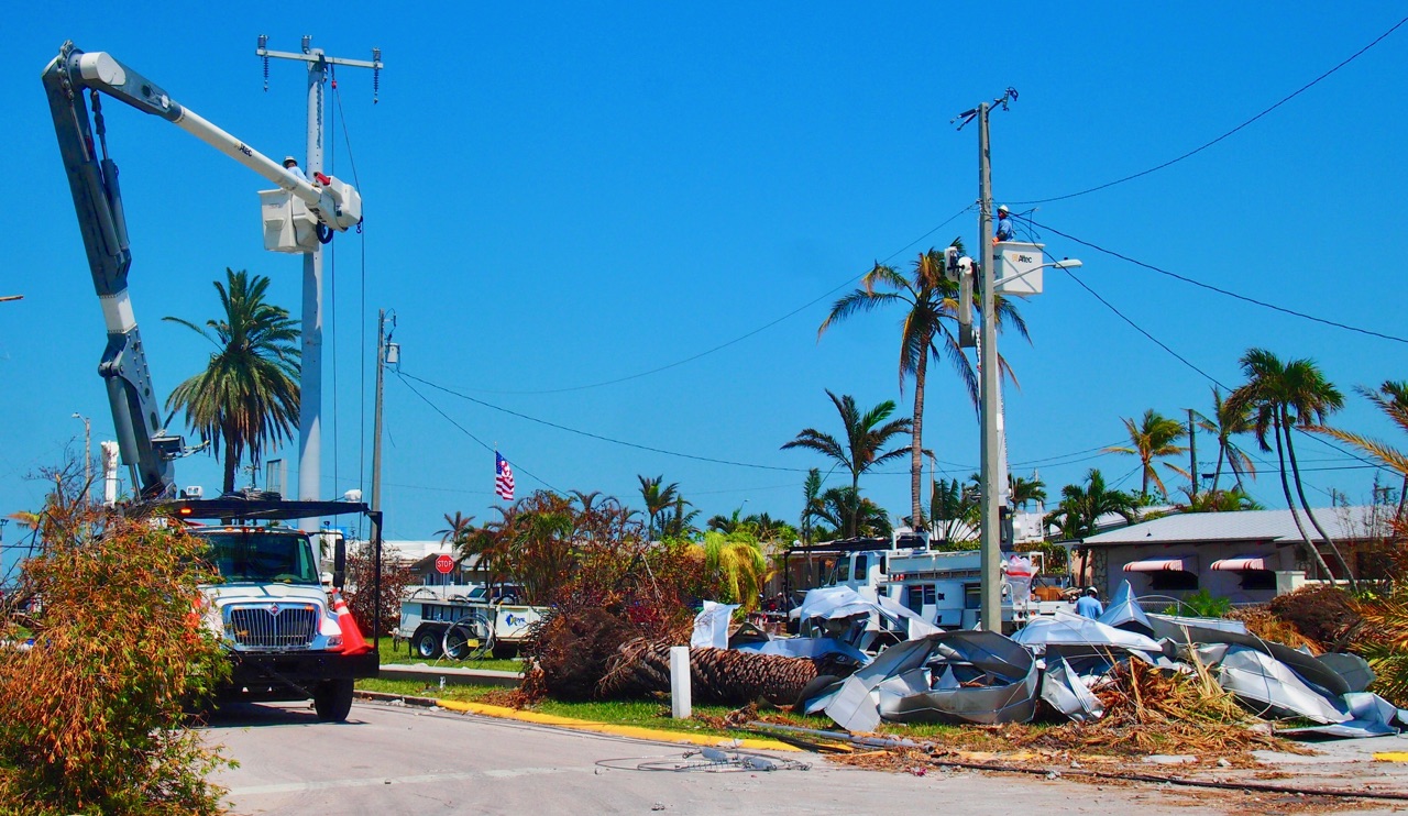 line crew above downed tree in Florida Keys