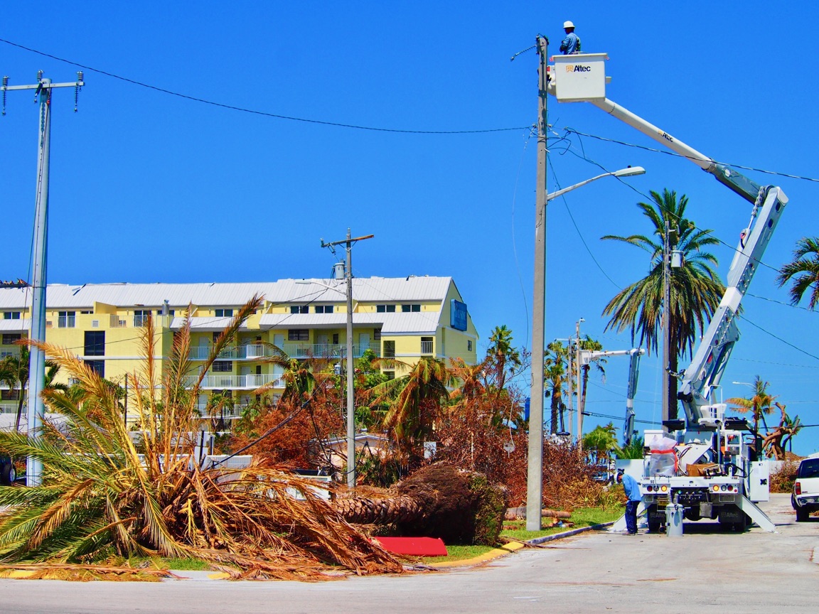 fallen tree and lineworker in Florida Keys
