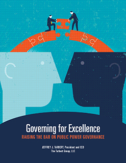 Book cover governing for excellence