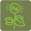green hydrogen icon