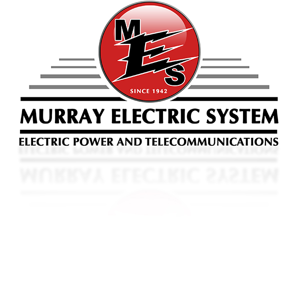 MES logo