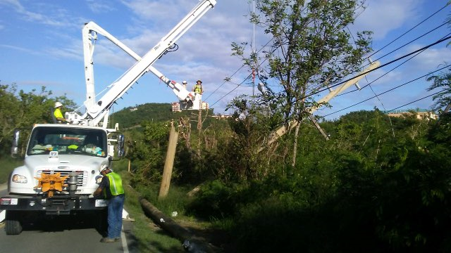 WAPAfallenpole