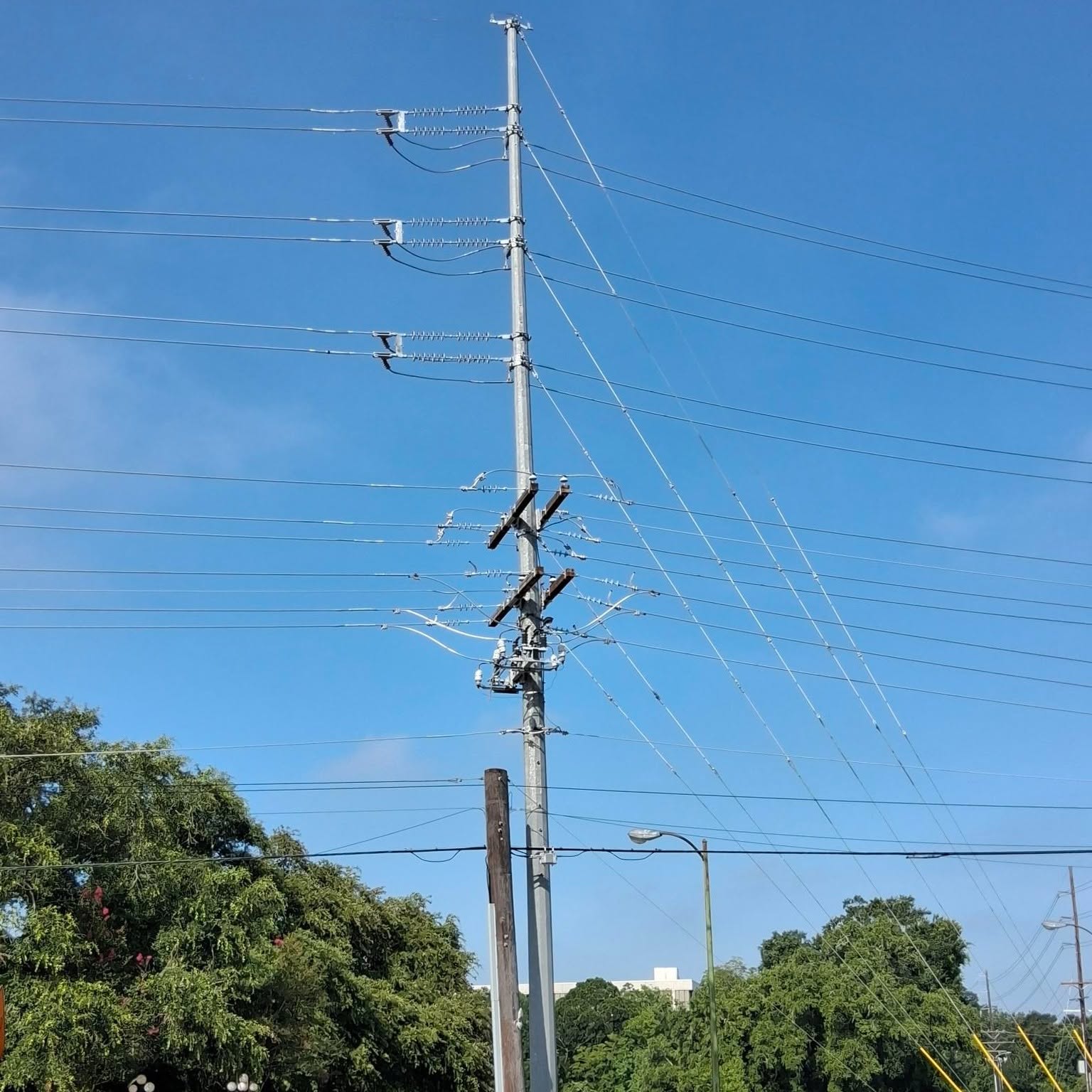 poles