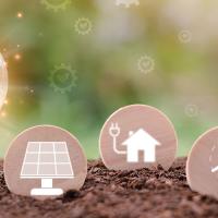 light bulb and energy icons growing from soil