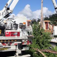 Utility crews repairing storm damage 