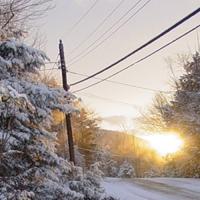 Snow-covered rural road in winter with sun shining, snow on trees, and power lines overhead