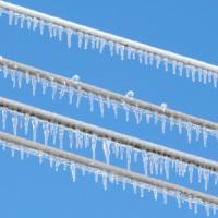 Frozen power lines