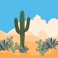 SRP cactus