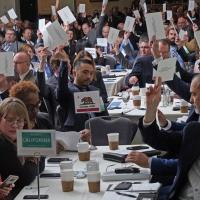 public power members voting on resolutions