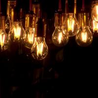 row of vintage style light bulbs suspended from a ceiling