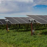 solar panels