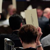 members voting