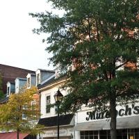 Line of storefronts in Easton, MD