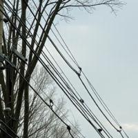 transmission lines