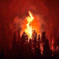 flood wildfire and cyber attack
