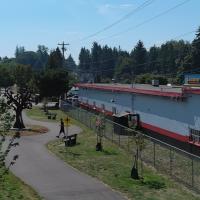 Portion of the Centennial Bicycle Trail in Washington that includes newly planted trees, part of the Snohomish County PUD Tree Power program