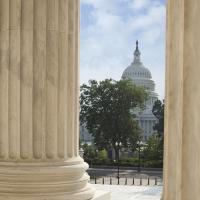 U.S. Capitol Building Viewed through an array of columns.