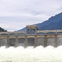 Bonneville Dam