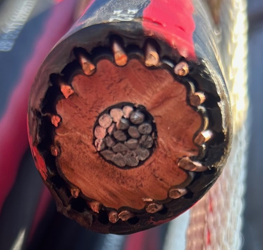 2026 Lineworkers Rodeo JM URD Install Conductor image 1