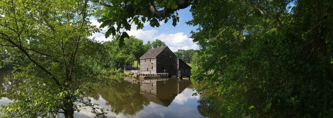 Raleigh's Yates Mill Park