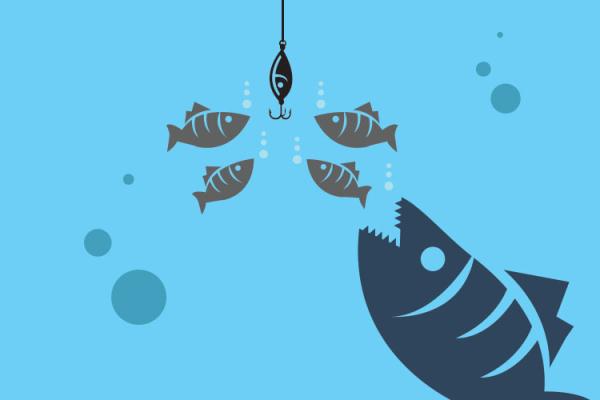 Big fish moving toward smaller fish surrounding a fishook