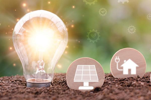 light bulb and energy icons growing from soil