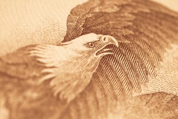 Illustration of a bald eagle