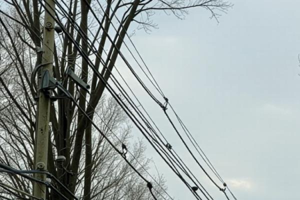 transmission lines