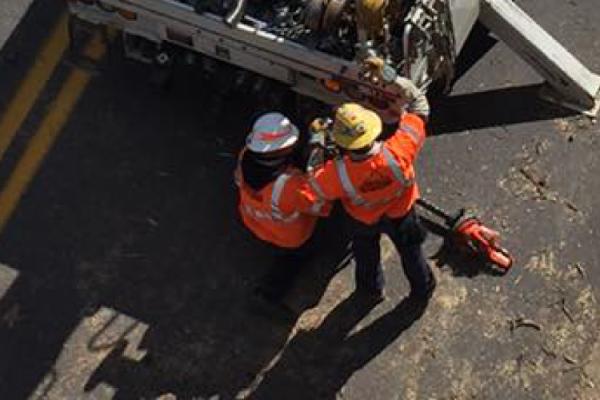 Crew from Danville Utilities in Virginia doing storm restoration work