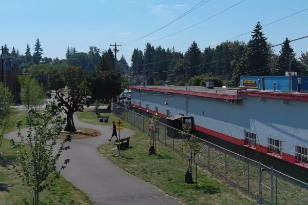 Portion of the Centennial Bicycle Trail in Washington that includes newly planted trees, part of the Snohomish County PUD Tree Power program