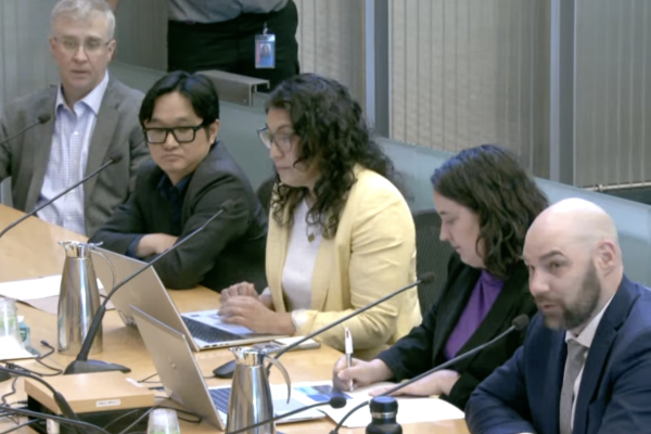 Seattle City Light staff speaking at a city council meeting.