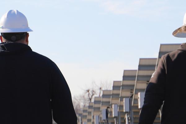 IMPA staff walking through a solar farm.