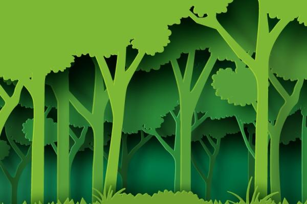 paper cutouts of trees