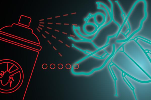 illustration of a bug and a spray can