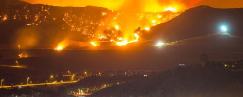 wildfire