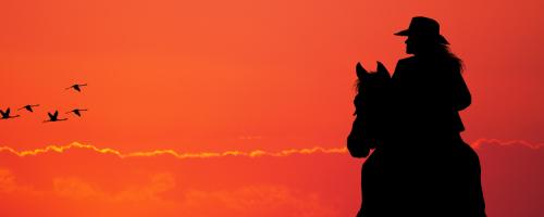blog-Nov20-Public-Power-Women-of-the-West