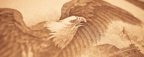 Illustration of a bald eagle