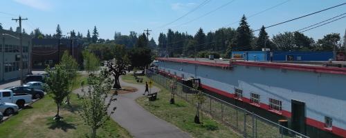 Portion of the Centennial Bicycle Trail in Washington that includes newly planted trees, part of the Snohomish County PUD Tree Power program