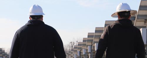 IMPA staff walking through a solar farm.